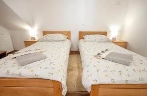 Billede fra billedgalleriet på Apartments Matko i Rakovica