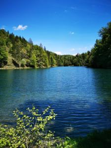 Gallery image of Guesthouse Samolov in Vrhovine