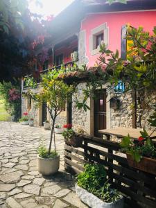 Zahrada ubytování Hotel Alda