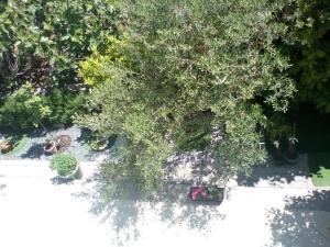 an overhead view of a garden with plants at Ana Rooms in Krk