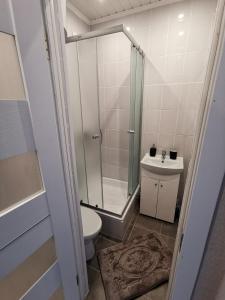 a bathroom with a shower and a toilet and a sink at Central Sun in Daugavpils