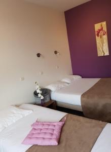 een slaapkamer met 2 bedden en een roze kussen bij le relais des forêts in Blessac