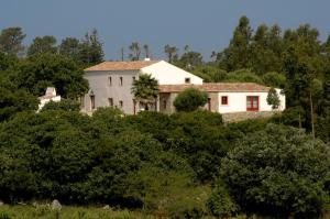 una casa in cima a una collina con alberi di Casal da Serrana a Reguengo Grande