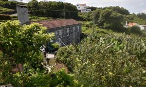 a building in the middle of a garden with trees at Adega do Gato in Calhau