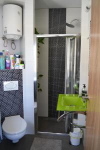 a bathroom with a green sink and a toilet at Apartamento Rosamar, sea view in Los Cristianos