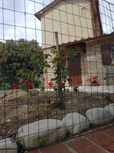 Gallery image of La Casetta della letizia in Colle
