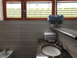 een badkamer met een wastafel en een toilet en 2 ramen bij Klinar - Cosy apartment with a terrace in Bled +26 foto's