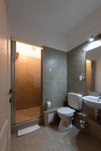 a bathroom with a toilet and a shower and a sink at Antic Apartments in Bucharest