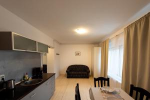 a kitchen and living room with a couch and a table at Antic Apartments in Bucharest