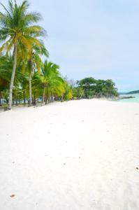 a beach with palm trees and the ocean at Abrhys Ridge Inn in Coron