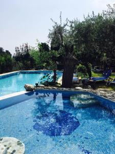 Bazén v ubytování Damouchari Hotel nebo v jeho okolí