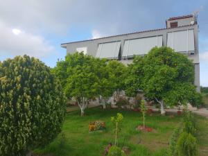 Zahrada ubytování Guesthouse Anila
