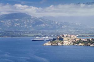 a cruise ship in a large body of water at Grand Hôtel De Calvi in Calvi