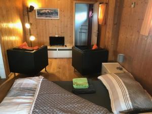 TV a/nebo společenská místnost v ubytování Chalet Casa Cresta - Top of Lenzerheide - bis 8 Personen