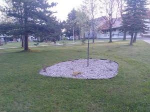 Vonkajšia záhrada v ubytovaní Penzion U Soudu