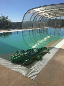 a toy snake sitting next to a swimming pool at Quinta Lagarça 57 in Lagares da Beira