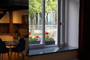 Vonkajšia záhrada v ubytovaní Sienkiewicza Loft1