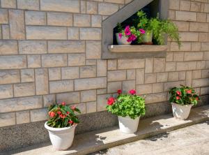 Zahrada ubytování Apartman Skroza