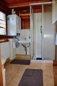 a bathroom with a shower and a sink at Blockhaus in Gnarrenburg