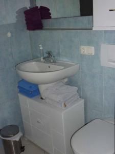 a bathroom with a sink and a toilet at Ferienwohnung Fantaisie in Eckersdorf +11 photos