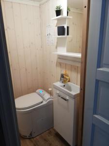 a small bathroom with a toilet and a sink at Insel Korsnäsudden in Hagfors