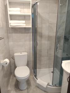 ダルウォボにあるPokoje na faliのバスルーム(トイレ、ガラス張りのシャワー付)