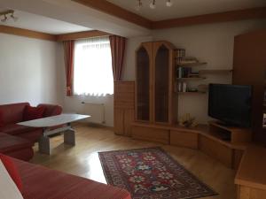 ein Wohnzimmer mit einem Sofa und einem TV in der Unterkunft Appartement Central in Bruck an der Großglocknerstraße