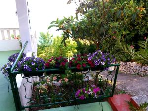 un jardín de flores con flores púrpuras y rosas en Apartman Kristin, en Podaca