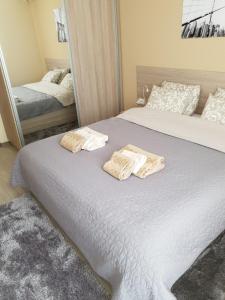 Katil atau katil-katil dalam bilik di The Place -Apartments in Plovdiv, with private parking