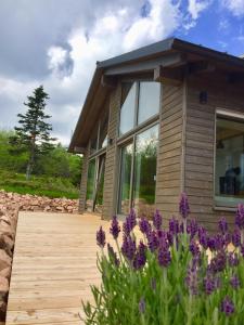 ein Haus mit einer Holzterrasse und lila Blumen in der Unterkunft Beerenhaus in Kurort Altenberg