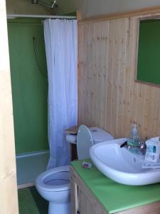a bathroom with a white toilet and a sink at Bellavita in Amlwch