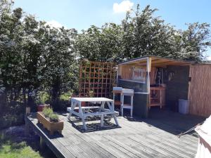 a tiny house with a picnic table and a shed at Bellavita in Amlwch