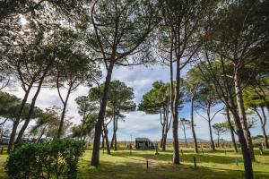 a group of trees in a field with a bus at Camping Village Bocche D'Albegna in Albinia