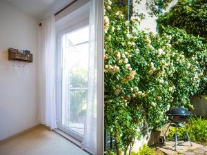 Vonkajšia záhrada v ubytovaní Apartment Lemon Tree