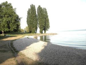 a gravel road next to a body of water at Littoral Lac in Gorgier