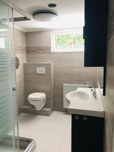 a bathroom with a toilet and a sink at Tiszavirág Panzió és Üdülőközpont in Tiszafüred +228 photos