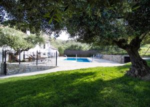 un árbol en un patio con piscina en Casa Rural La Bodega, en Grazalema