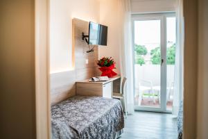 TV a/nebo společenská místnost v ubytování Hotel Ambassador Meuble
