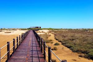 une promenade en bois sur le sable sur une plage dans l'établissement Best Located Apt - Fabulous Pool !, à Cabanas de Tavira
