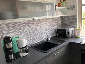 Kuchyň nebo kuchyňský kout v ubytování Studio apartman Braco