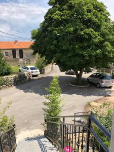 a tree and cars parked in a parking lot at Studio apartman Braco in Risika
