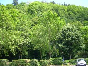 Afbeelding uit fotogalerij van Apartamento en Contranquil in Cangas de Onís