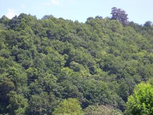 Afbeelding uit fotogalerij van Apartamento en Contranquil in Cangas de Onís