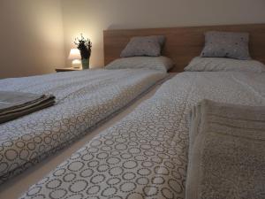 dwa łóżka siedzące obok siebie w sypialni w obiekcie Akali Apartman w mieście Balatonakali