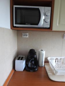 eine Mikrowelle auf einer Küchentheke in der Unterkunft Akali Apartman in Balatonakali