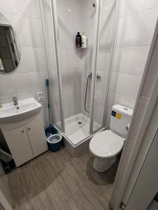 a bathroom with a shower and a toilet and a sink at Central Park in Daugavpils