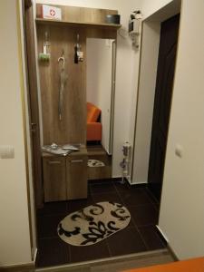 Vonios kambarys apgyvendinimo įstaigoje Delightful Two-Room Apartment