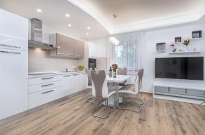 Kuchyňa alebo kuchynka v ubytovaní Apartment R & Z-Brand new family apartment with a spacious yard