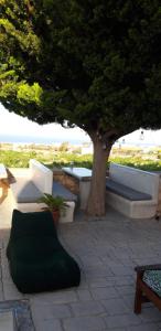 a tree sitting on top of a sidewalk next to a bench at Villa Koronios in Fira