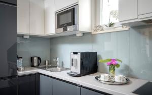 A kitchen or kitchenette at Apartments ViLu